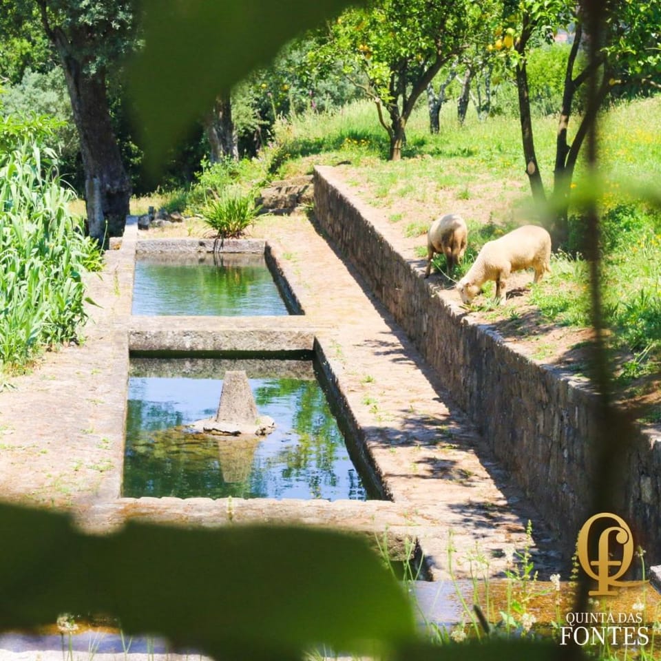 Natural landscape, Garden view, Lake view