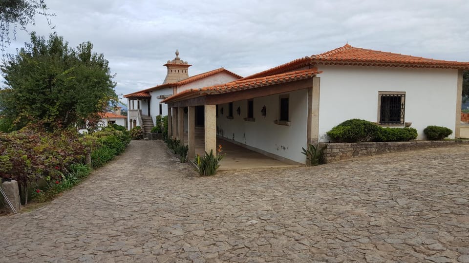 Property building, Garden, Garden view