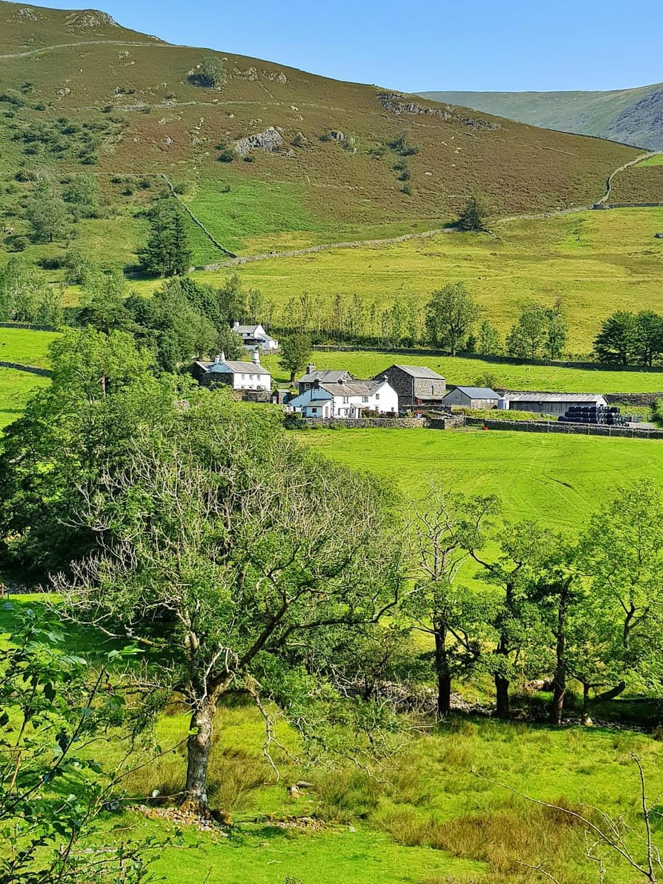 Patio, Garden, Garden view