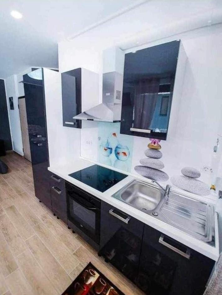 Carla Studio Apartment in Constanța County