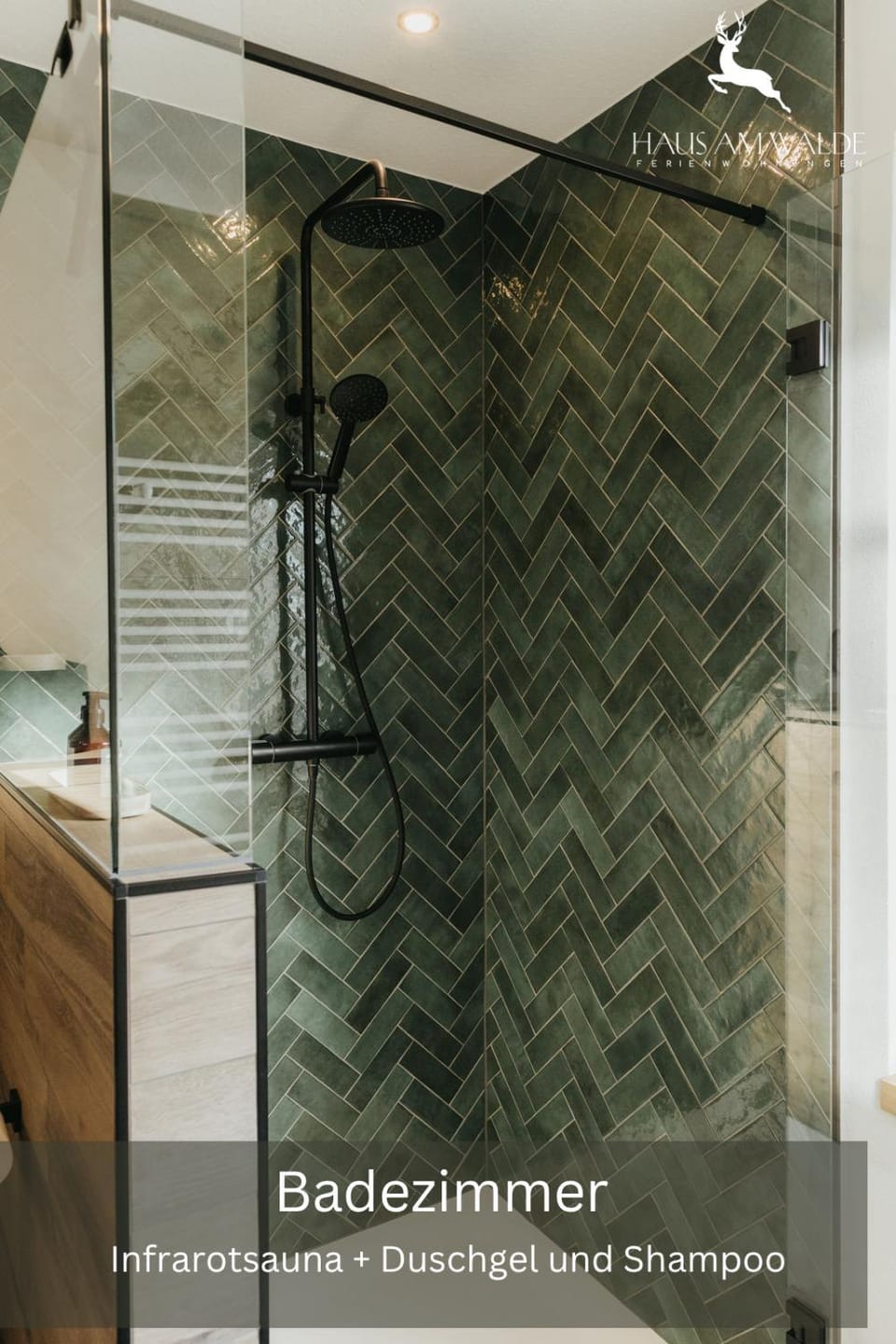 Shower, Toilet, Sauna, Bathroom