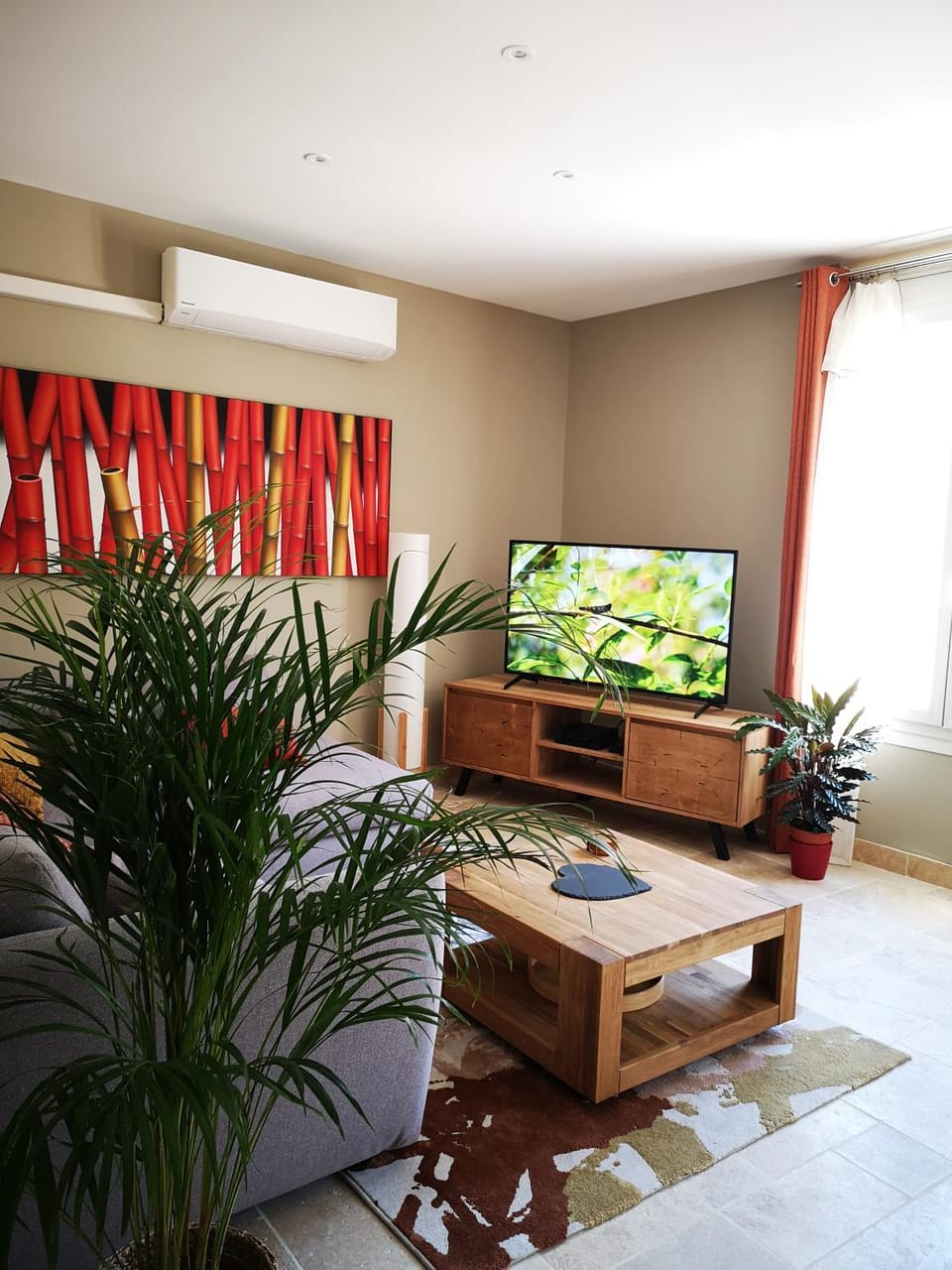 TV and multimedia