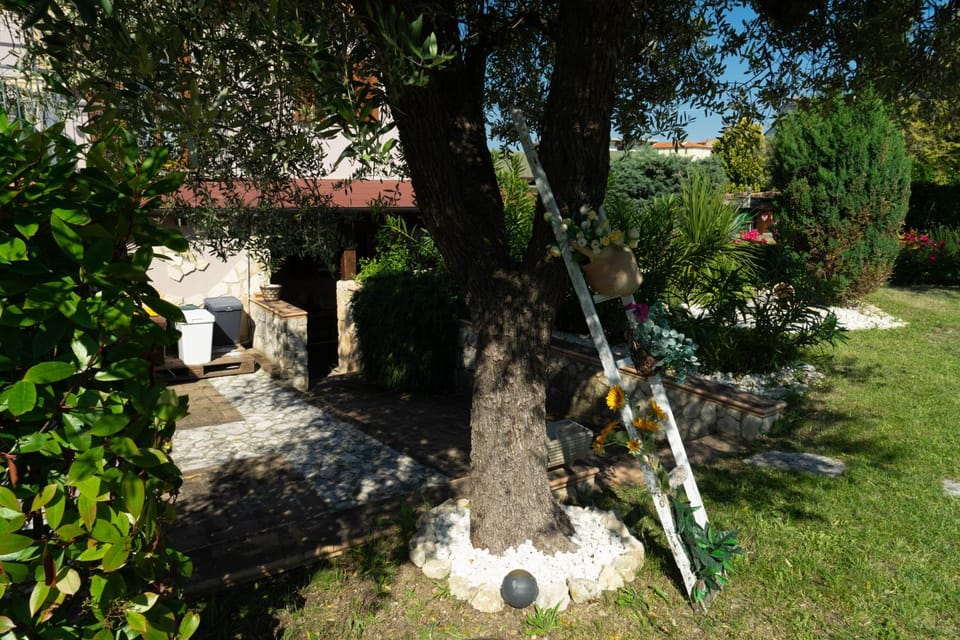 Garden, Garden view