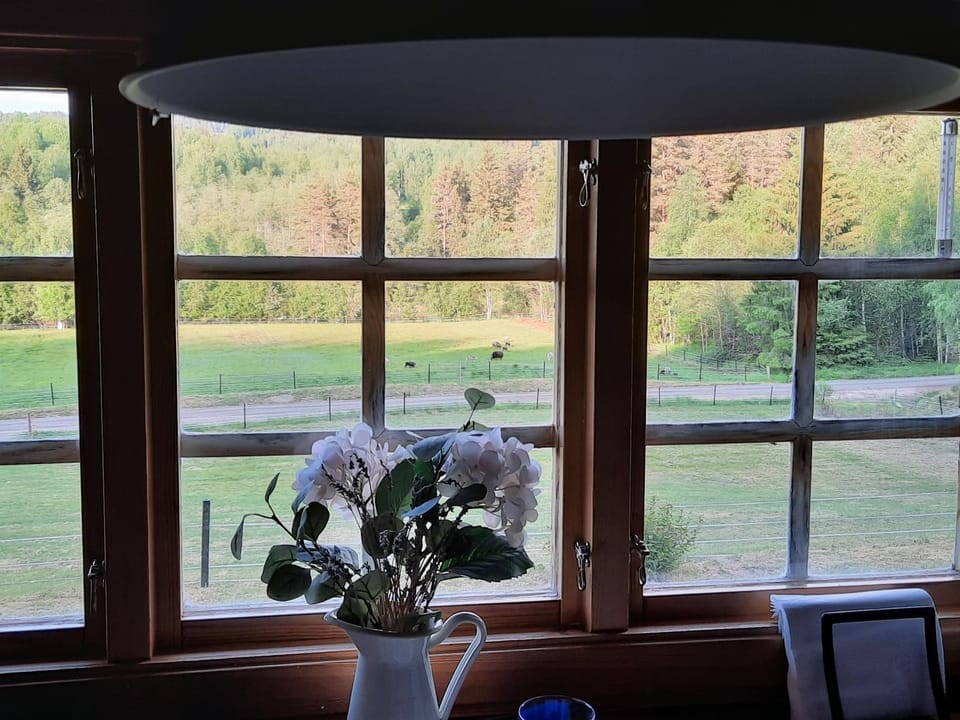 View (from property/room)