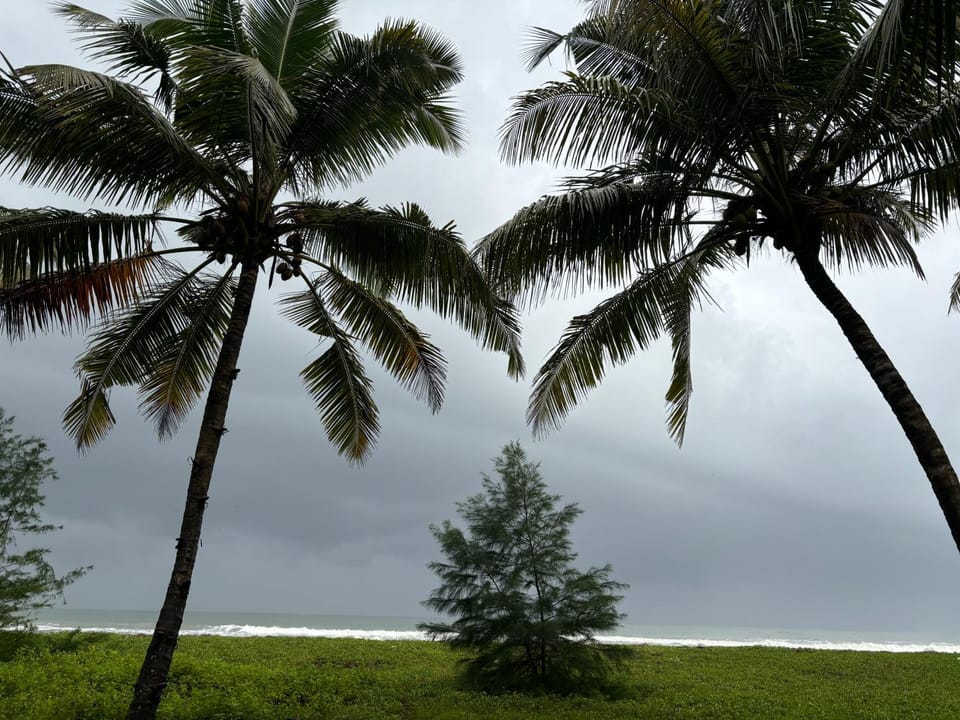 Natural landscape, Beach