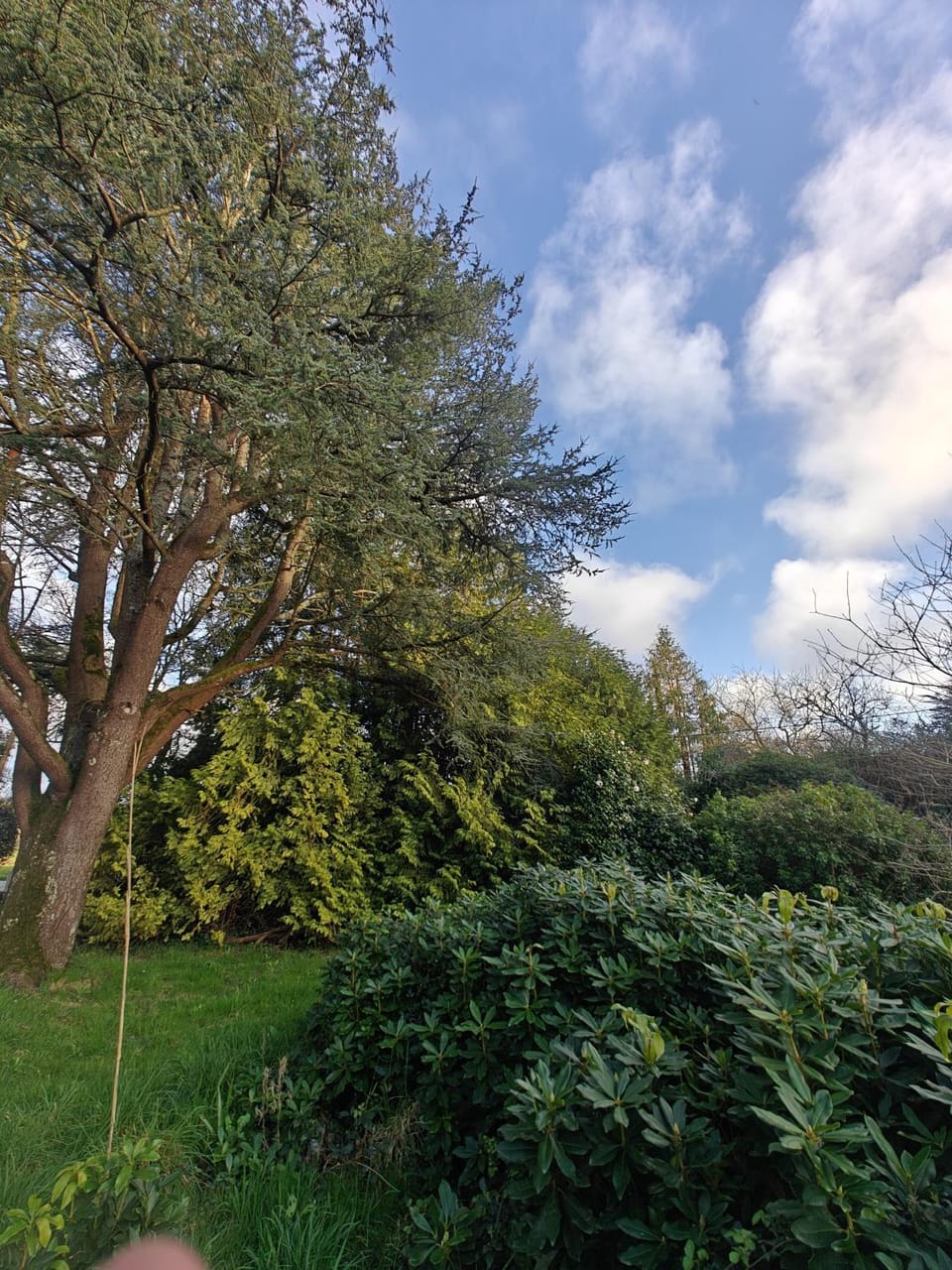 Spring, Day, Natural landscape, Garden, Garden view