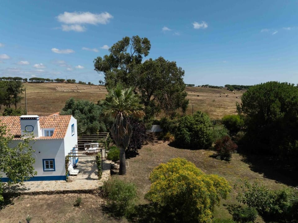 Fonte Santa beautiful villa Villa in Setubal District