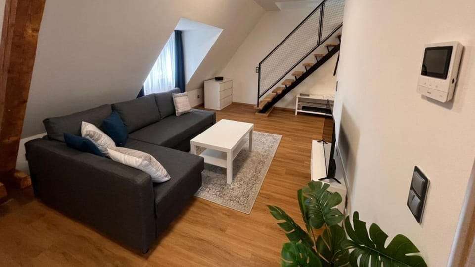 Ulrichova vila a Vilka Rejhotice Apartment in Czechia