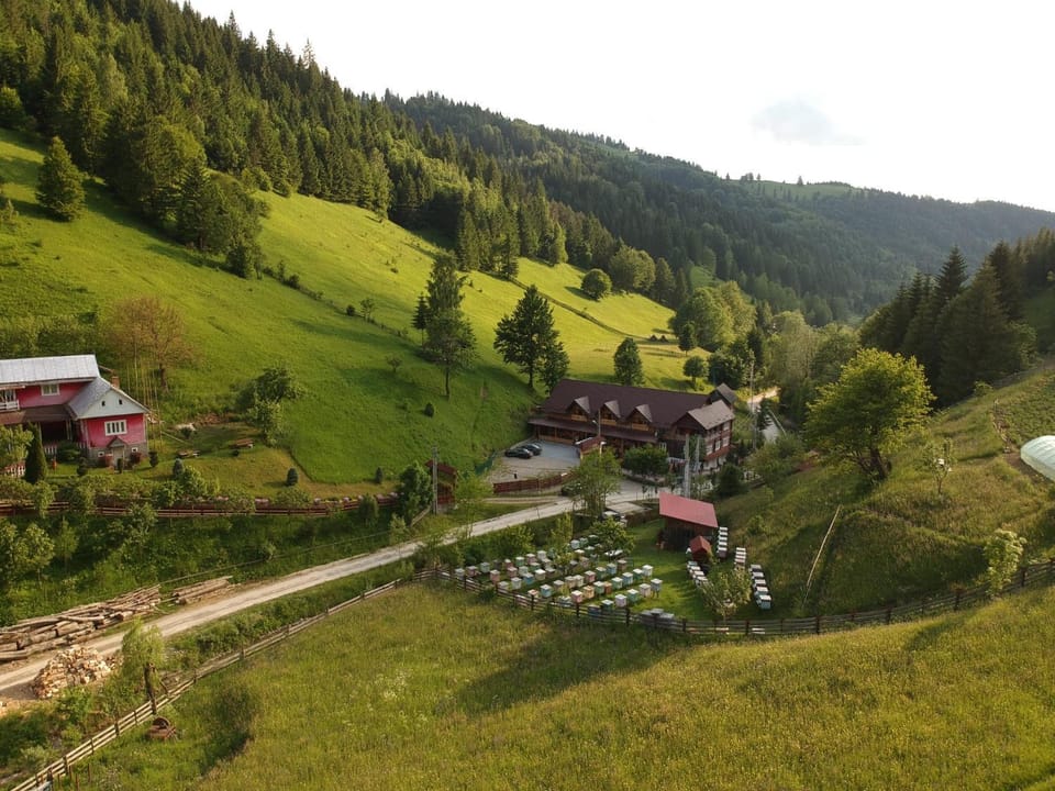 Pensiunea Vânătorul Bed and Breakfast in Romania