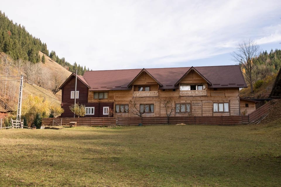 Pensiunea Vânătorul Bed and Breakfast in Romania