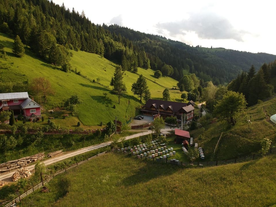 Pensiunea Vânătorul Bed and Breakfast in Romania