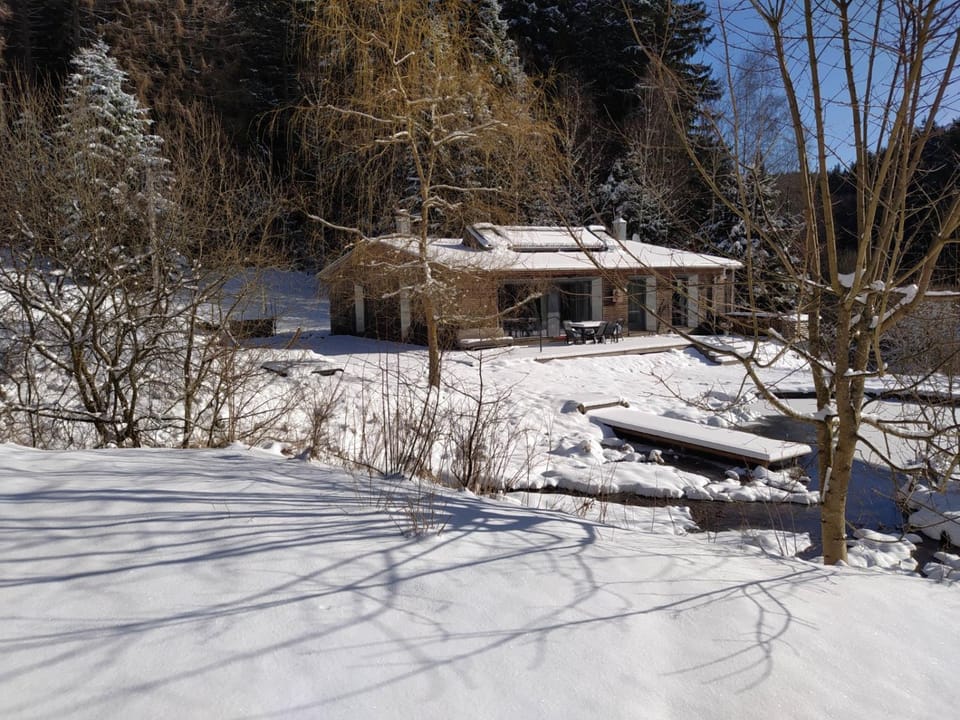 Property building, Winter