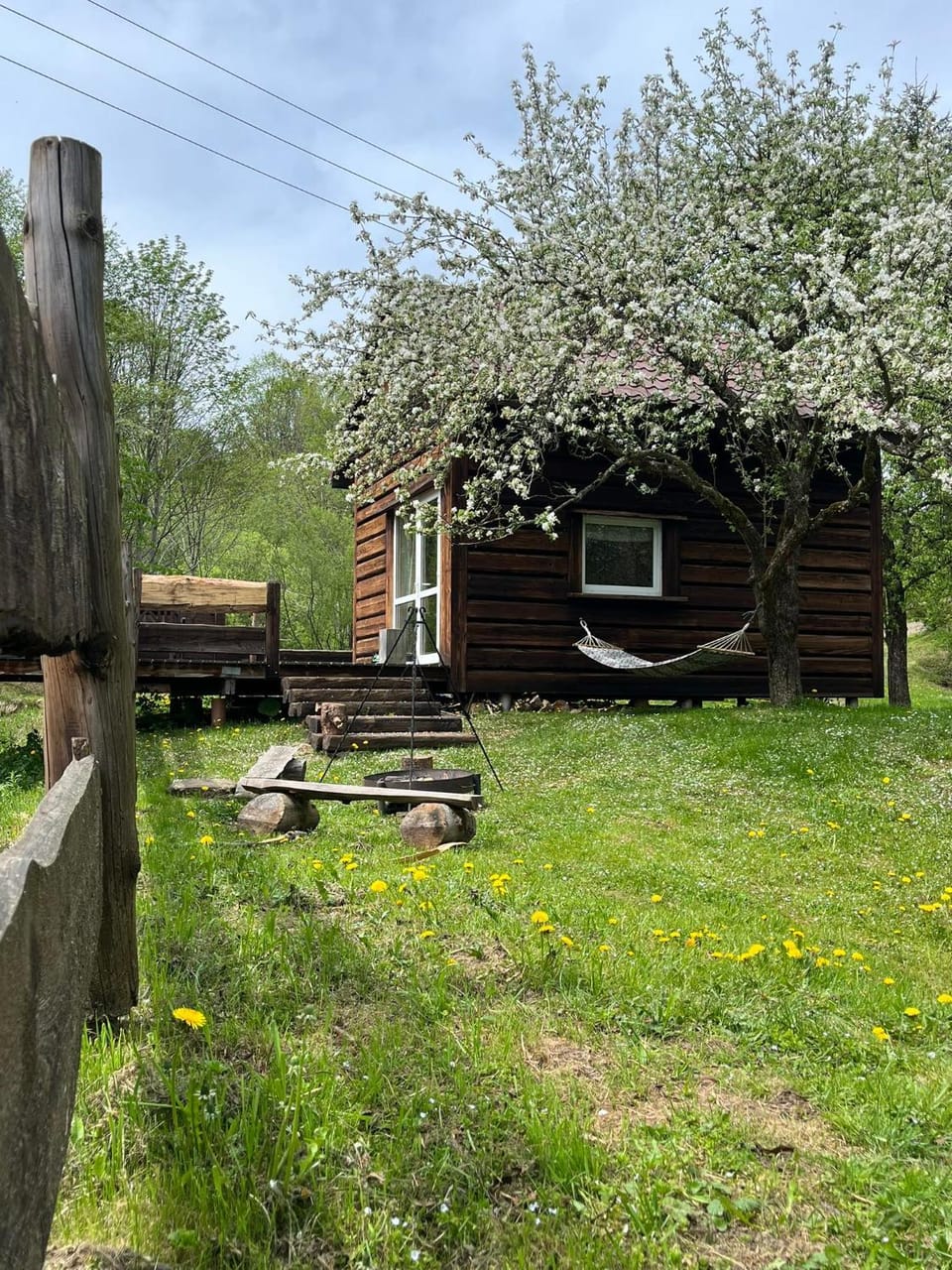 Spring, Garden