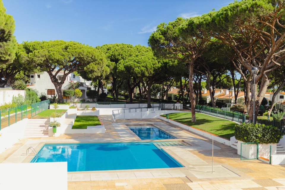 Spring, Day, Natural landscape, Garden, Garden view, Pool view, Swimming pool
