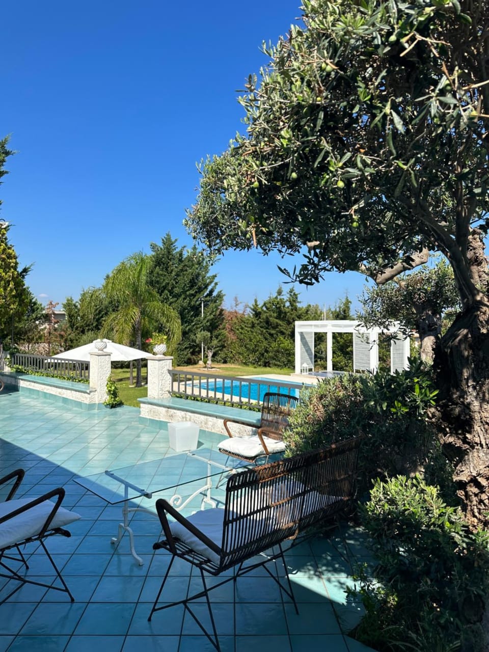 Garden, Pool view