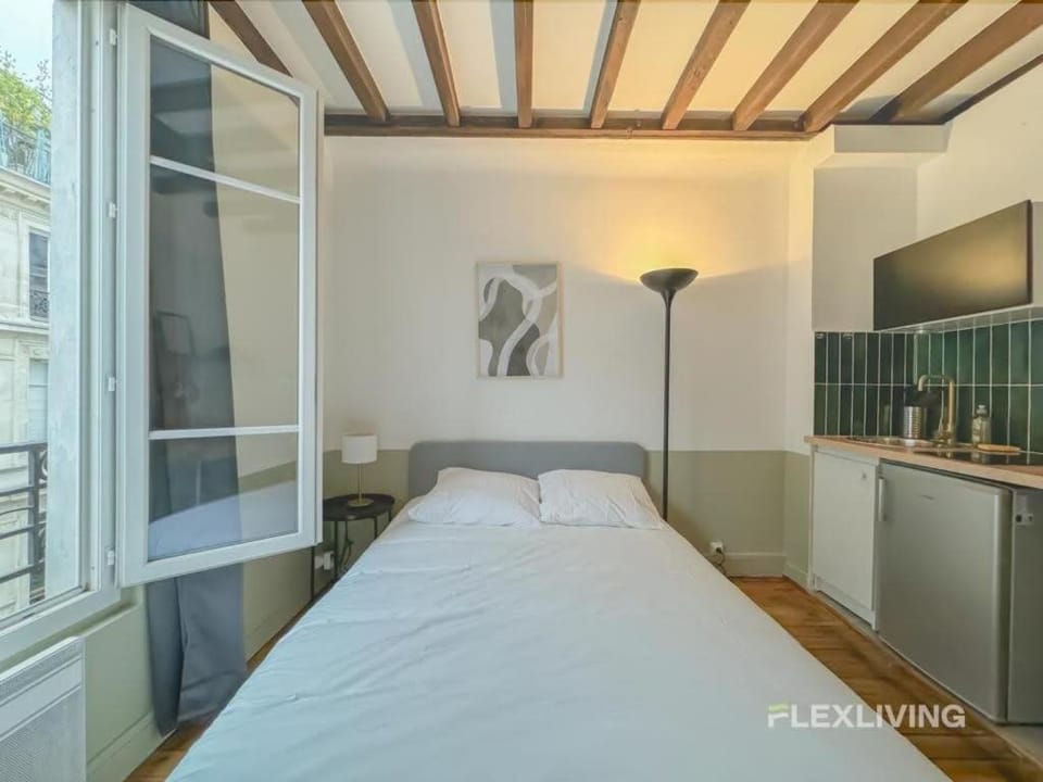 Immeuble L'echiquier Apartment in Paris