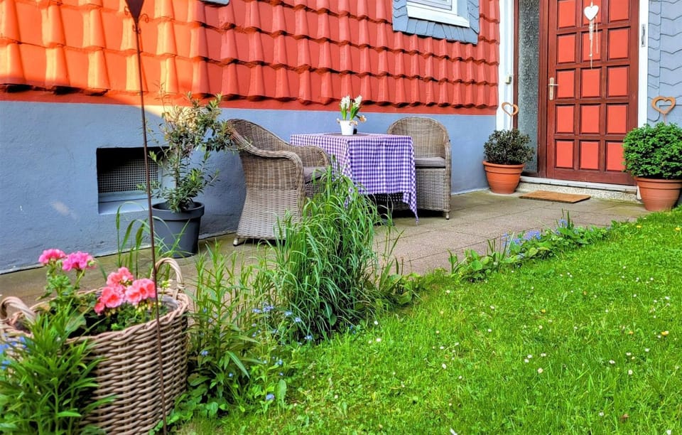 Property building, Day, Garden, Garden view