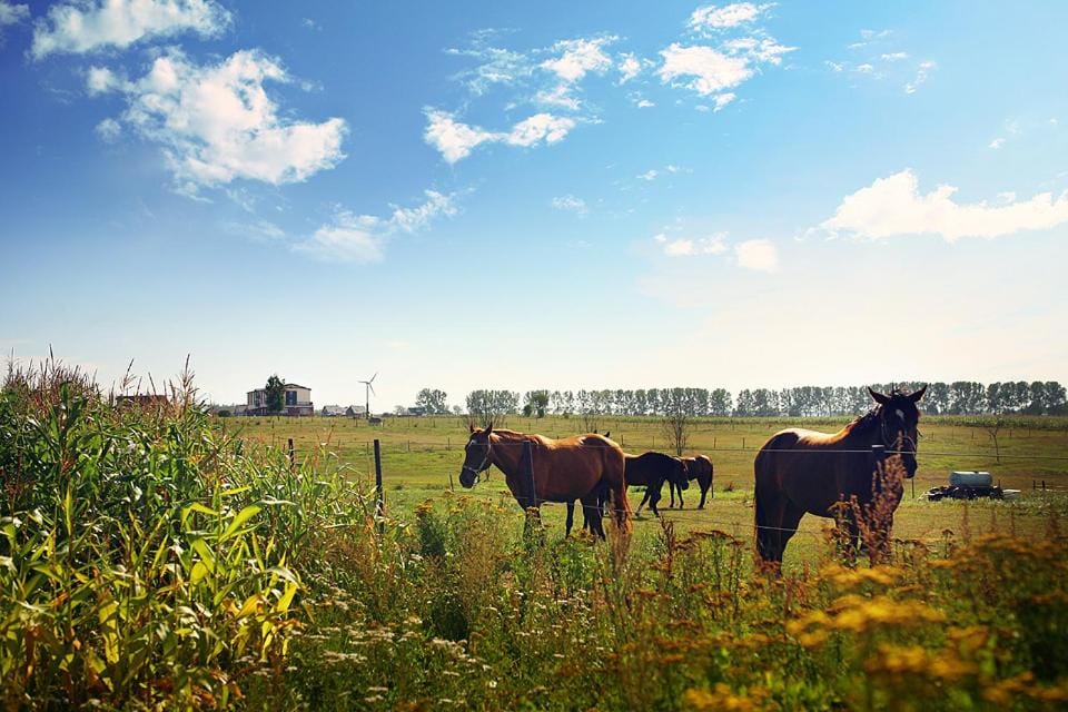Hippika Bed and Breakfast in Pomeranian Voivodeship