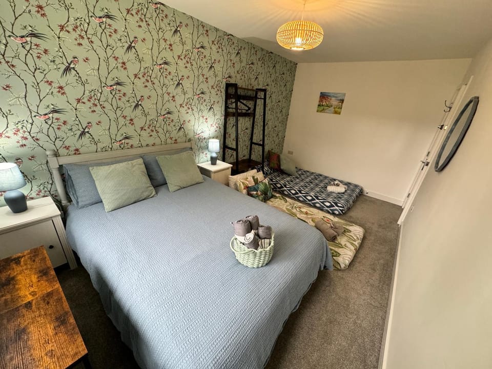 Bed, Photo of the whole room, Bedroom