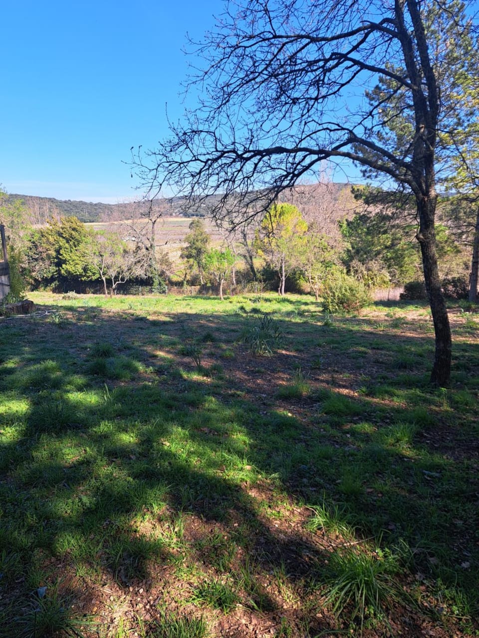 Le temps de vivre Apartment in Provence-Alpes-Côte d'Azur