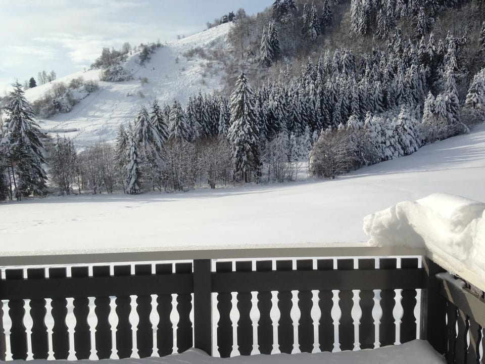 La Bresse Hautes Vosges Chalet 2 à 6 personnes Chalet in La Bresse