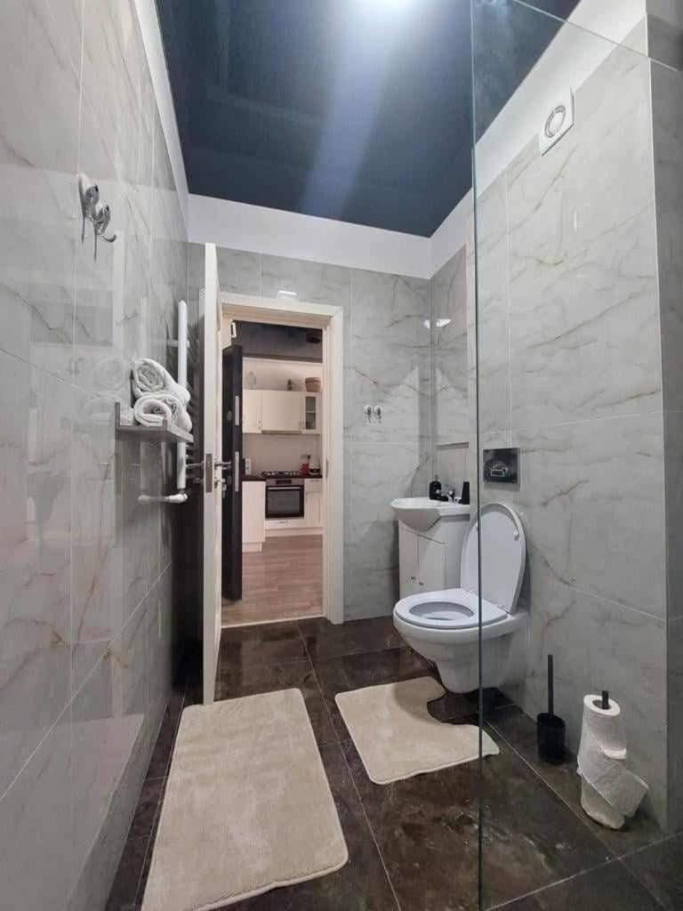 Andra Apart Apartment in Constanța County