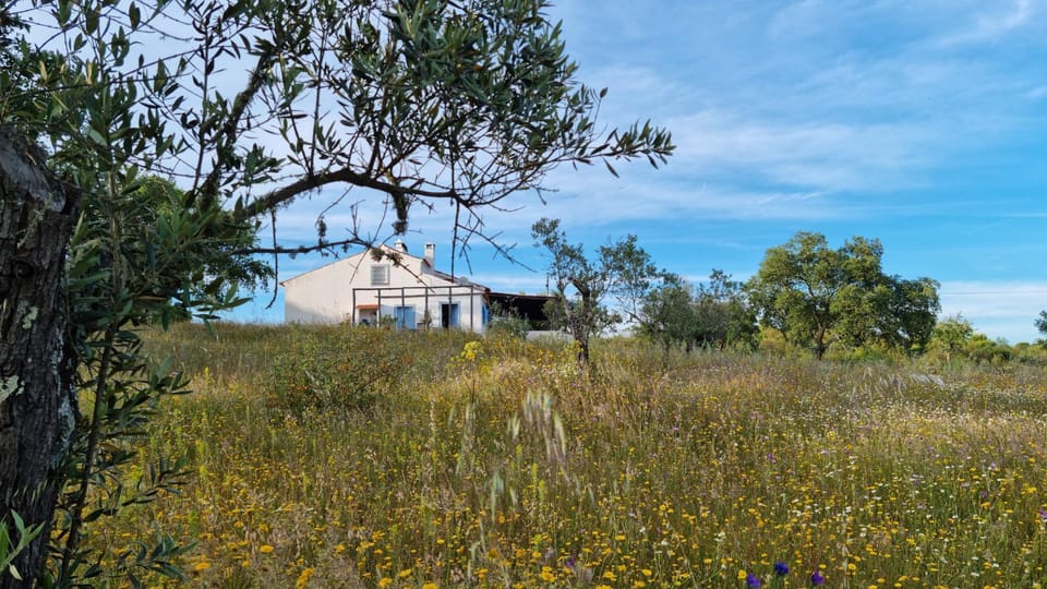 Monte do Balharico by Portus Alacer Villa in Santarém District, Portugal