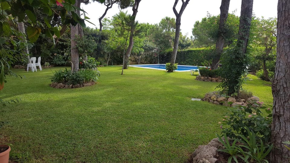 Garden, Garden, Garden view
