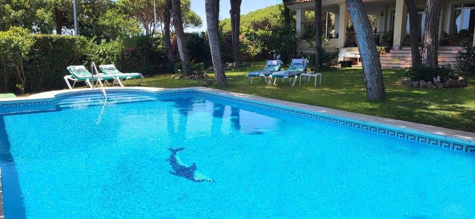 Garden, Pool view, Swimming pool, sunbed