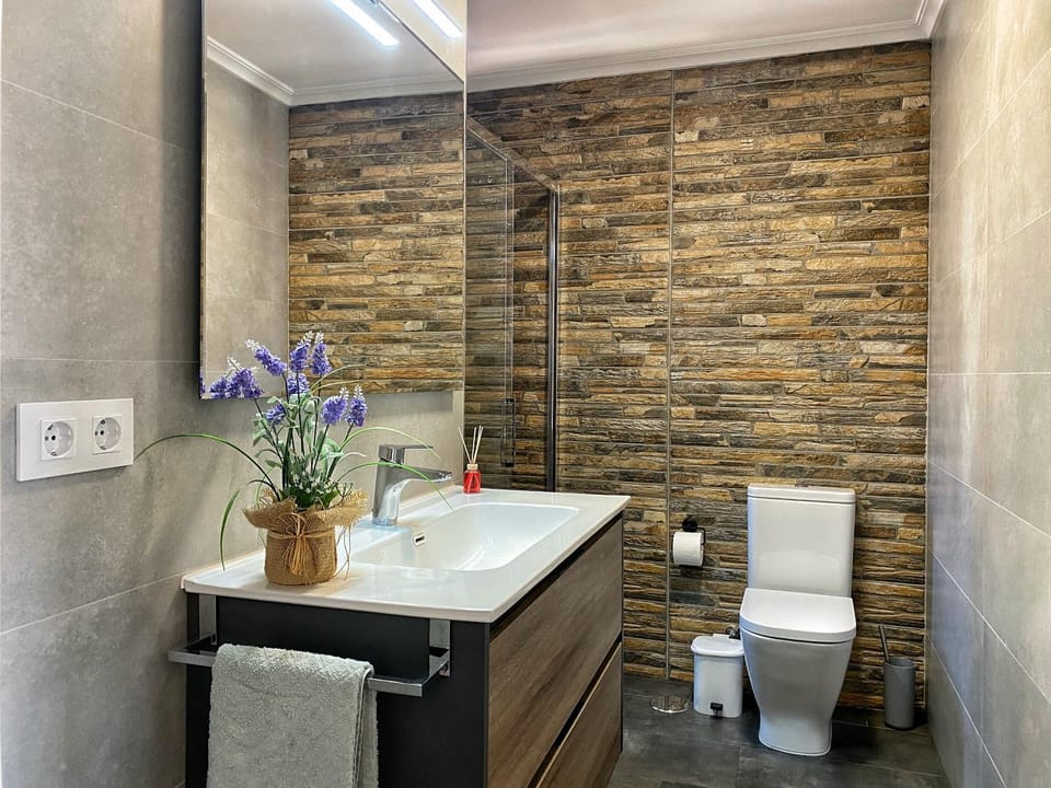 Ático con terraza en el corazón de Ourense Apartment in Ourense
