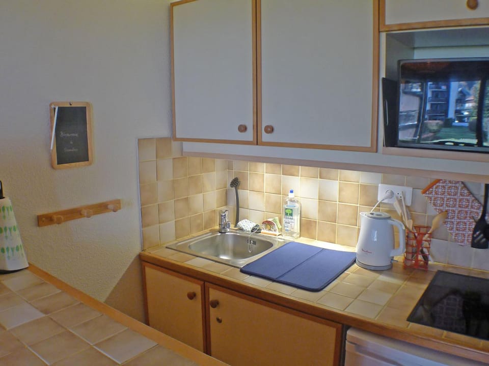Studio cabine pour 4 pers, animaux acceptés, internet, vue montagne - FR-1-629-136 Cabin in Samoëns