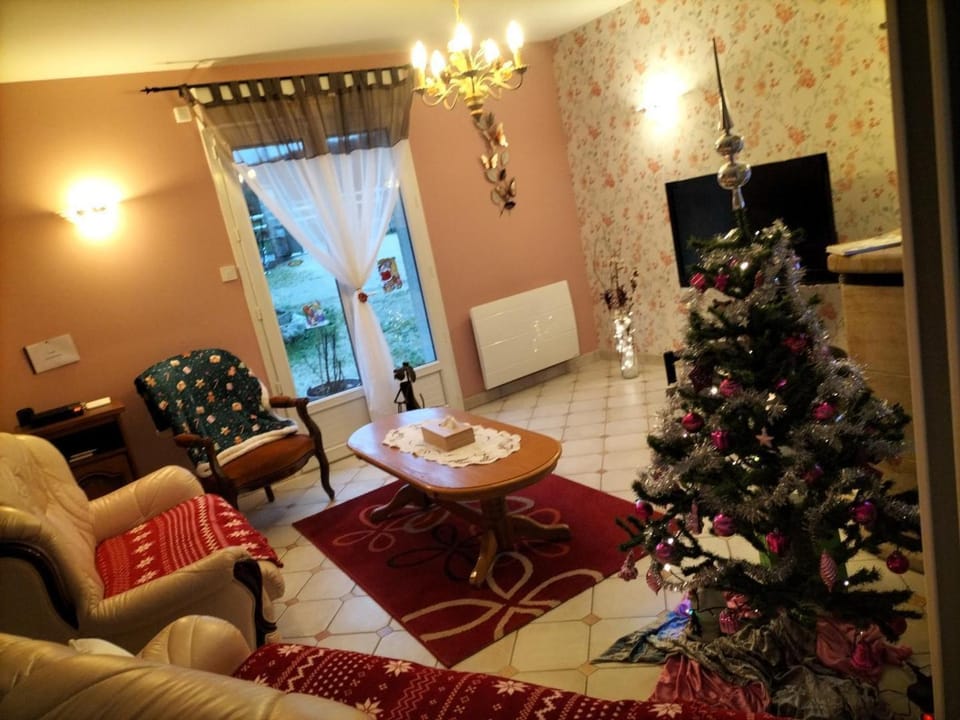 Gîte familial et chaleureux avec jardin clos, garage, et proche de Blois, animaux bienvenus - FR-1-491-446 House in Centre-Val de Loire
