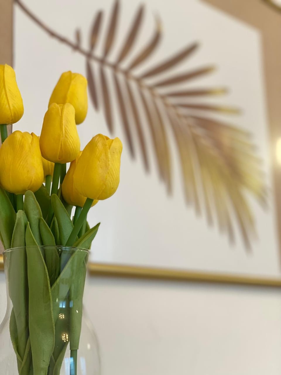 Golden Home 88 Apartment in Belgrade