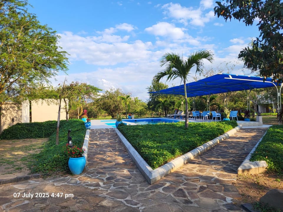 Pool view