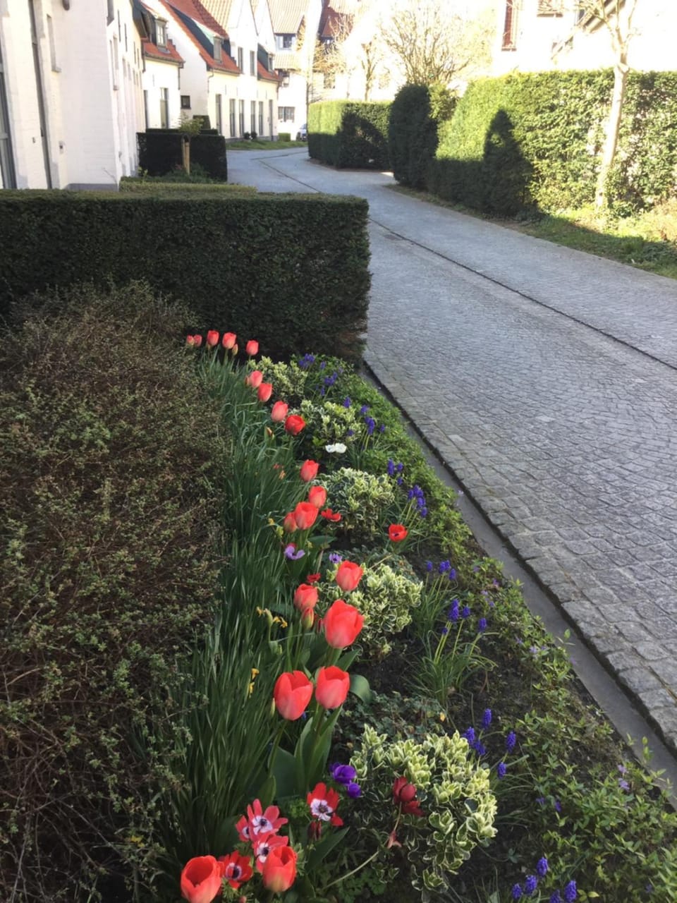 B&B Het Colettientje Bed and Breakfast in Bruges