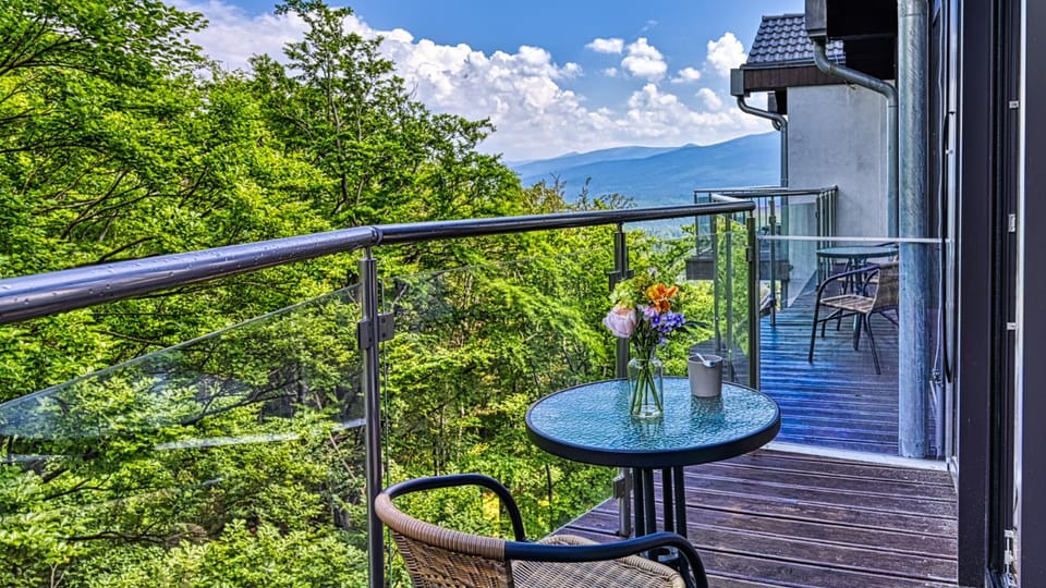 Balcony/Terrace, Mountain view
