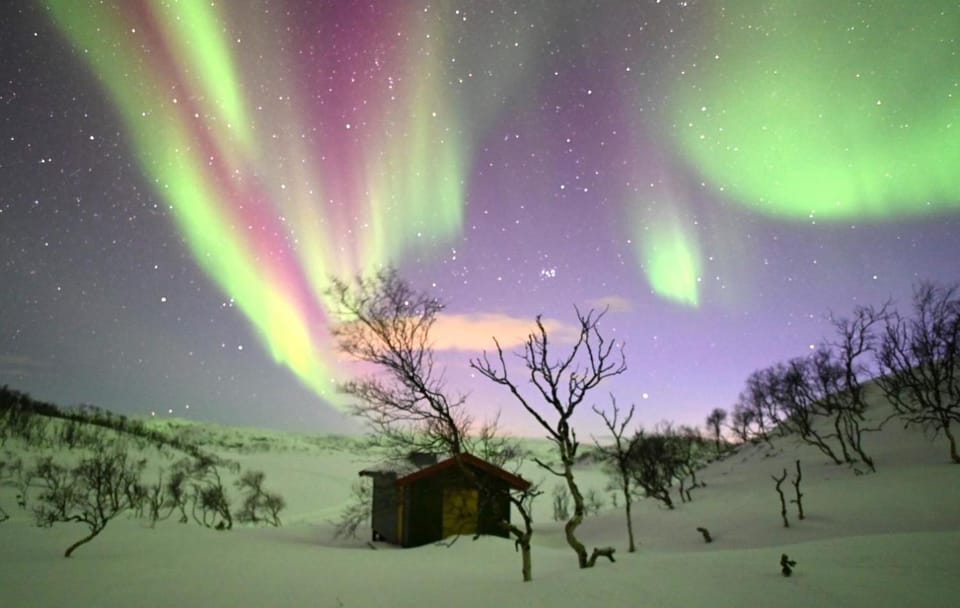 Activities, Winter