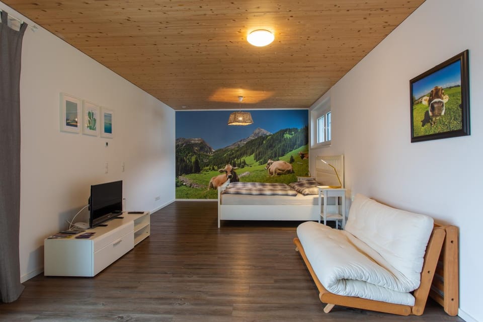 Bed, TV and multimedia, Living room, Photo of the whole room, Bedroom