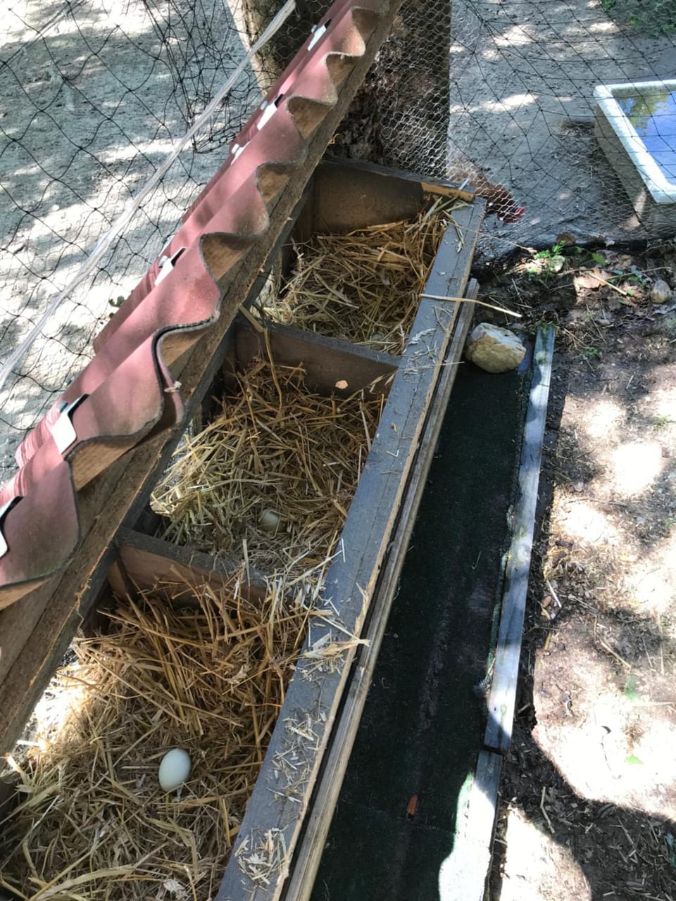Bus atypique au bord du canal du midi et au cœur d'une forêt 2 chambres House in Occitanie