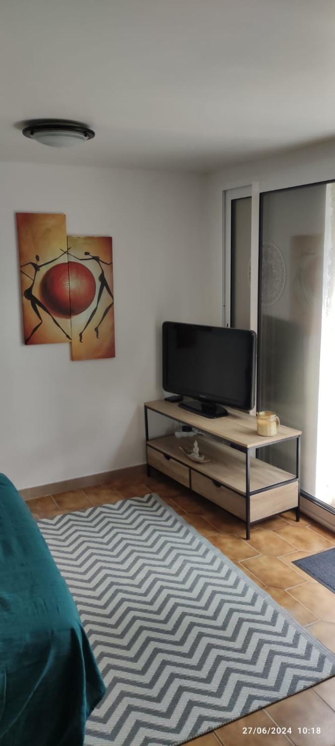 TV and multimedia