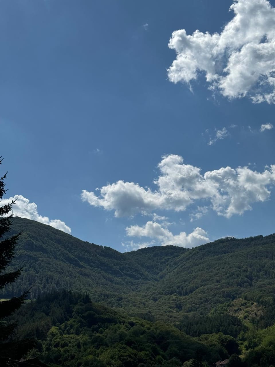 Mountain view