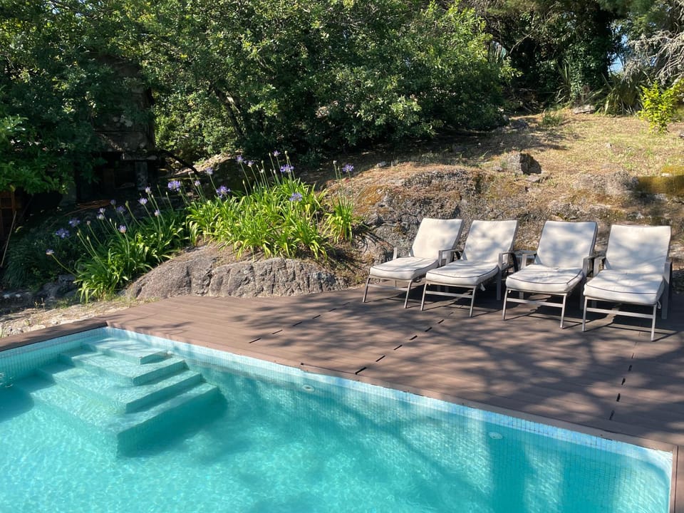 Garden, Pool view, Swimming pool, sunbed