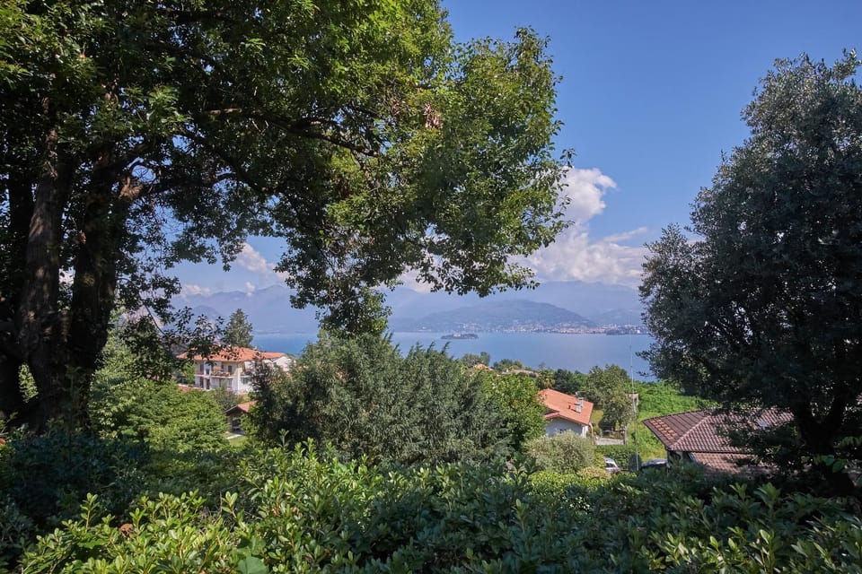 Lake view