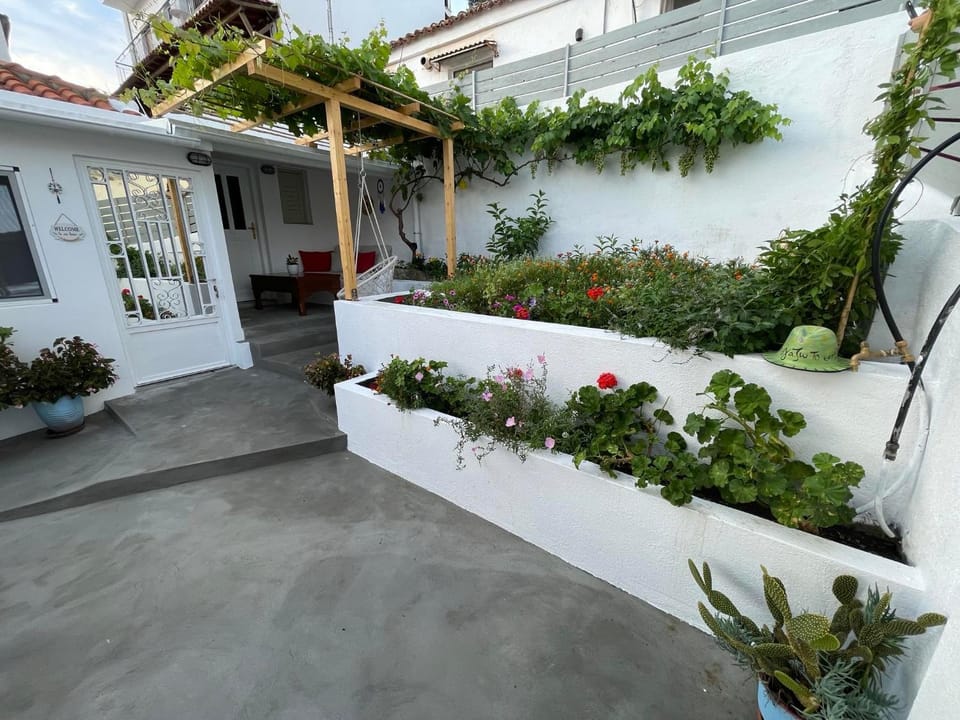 Day, Garden, Garden view