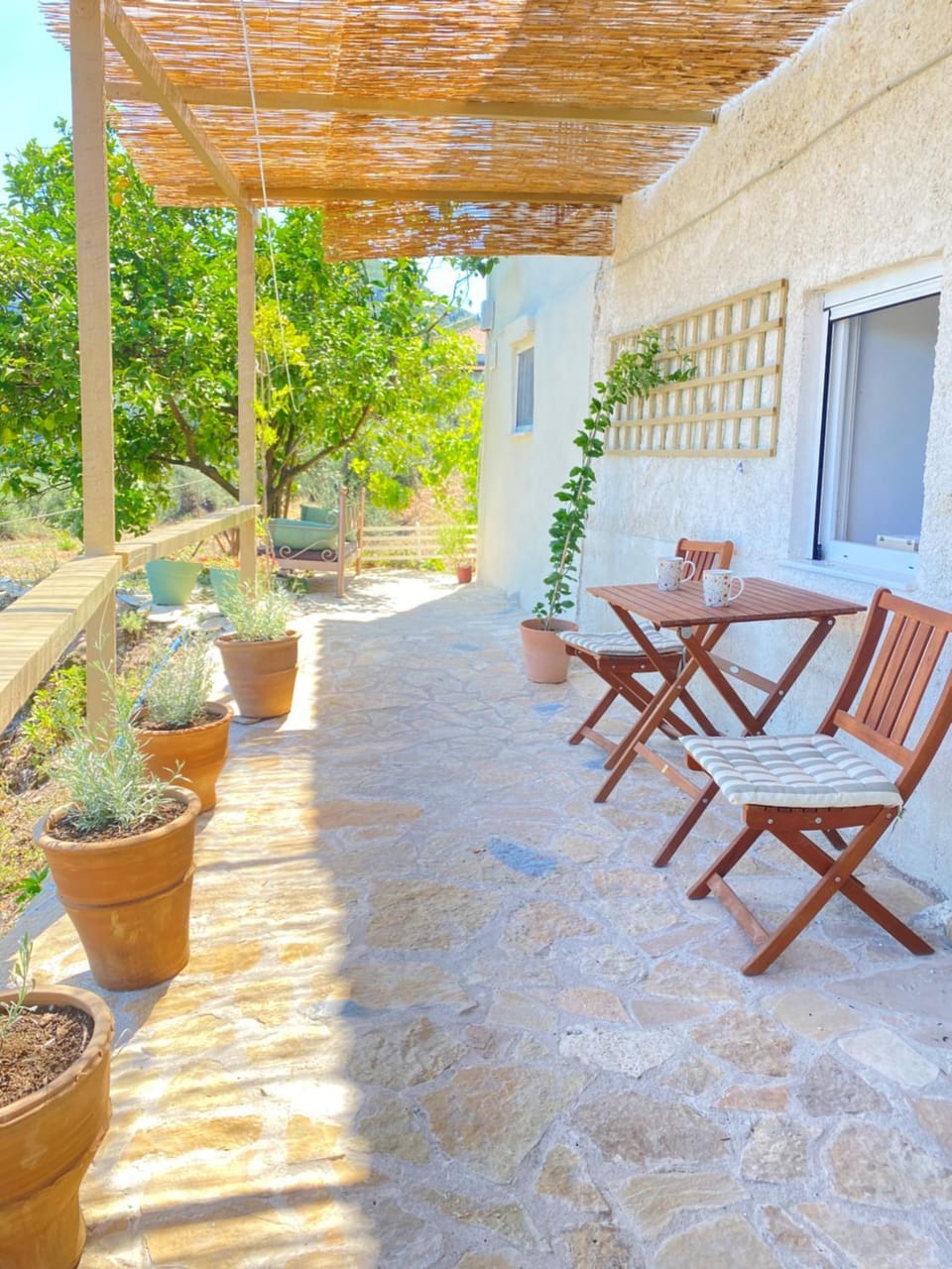 Patio, Spring, Day, Garden view, sunbed
