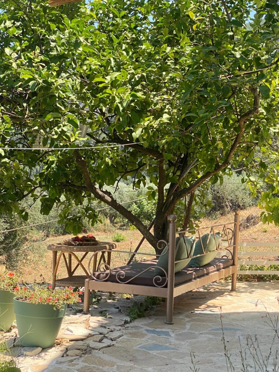 Spring, Day, Natural landscape, Garden, Garden view