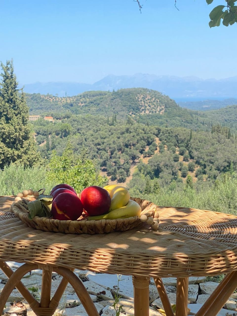 Spring, Day, Natural landscape, Food, Mountain view