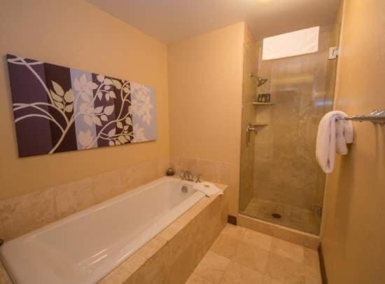 Shower, Bathroom, Bath