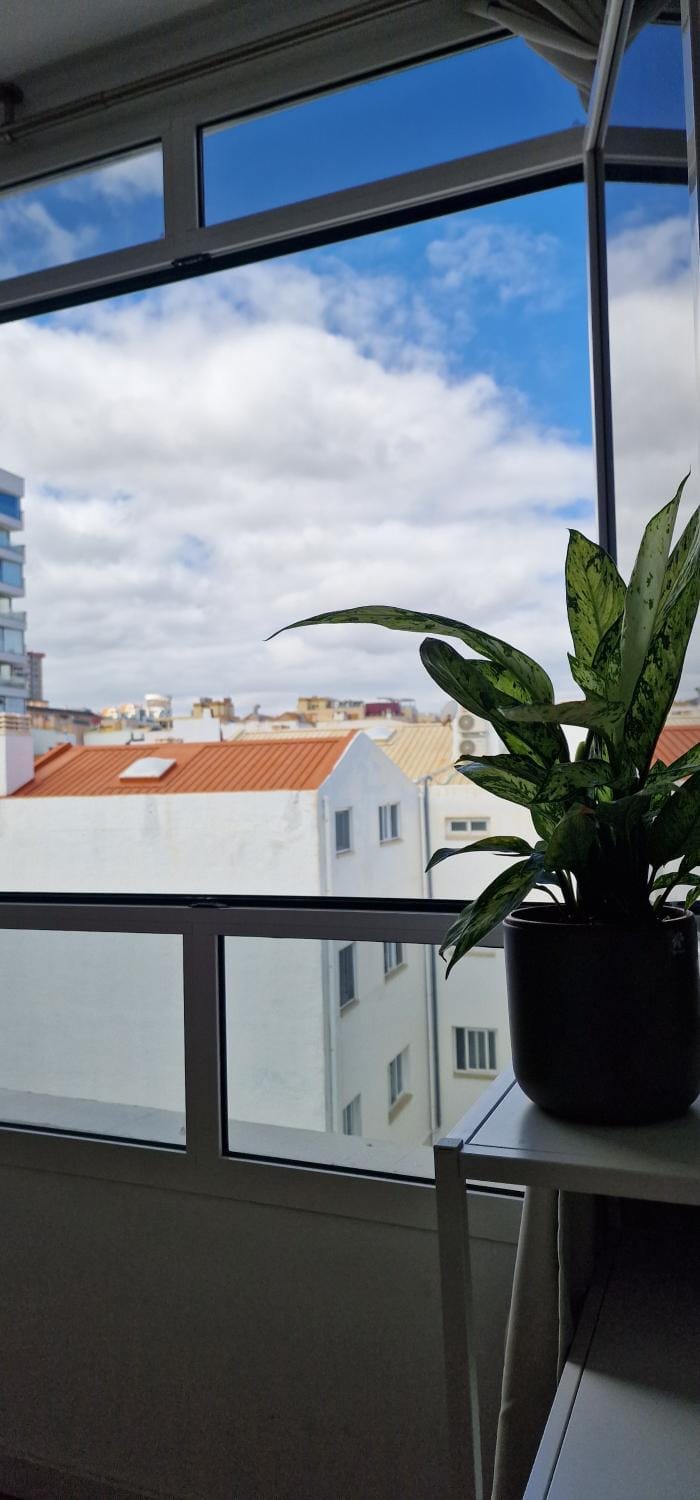 Day, View (from property/room)