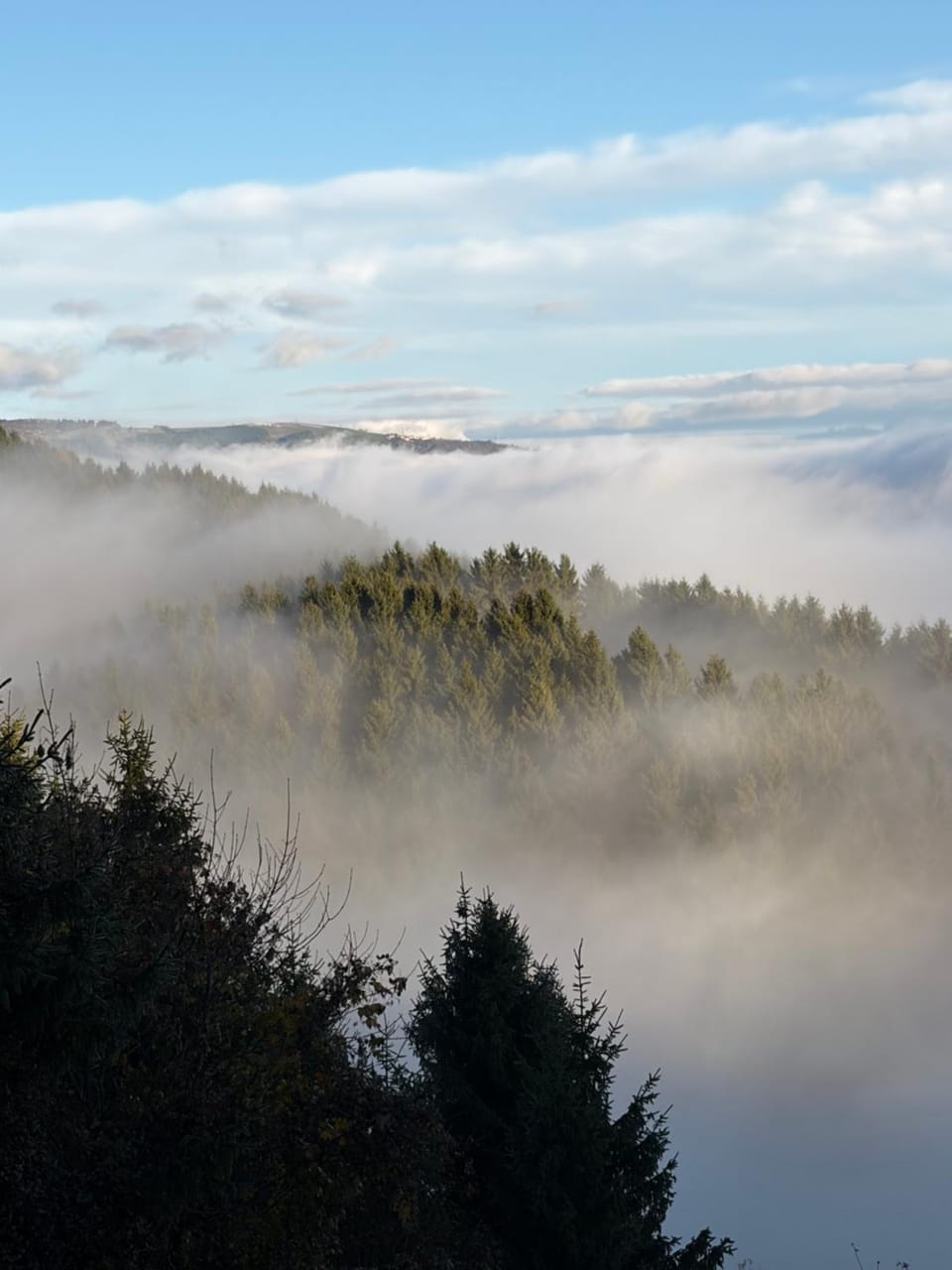 Mountain view